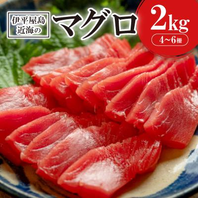 ふるさと納税 伊平屋村 伊平屋島近海のマグロ2kg(マイナス60℃急速冷凍)