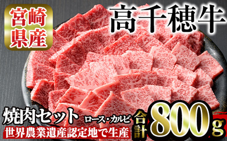 高千穂牛 焼き肉セット(ロース・カルビ各400g)【MT014】【JAみやざき 高千穂牛ミートセンター】