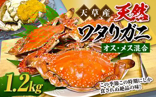 天草産 天然ワタリガニ  オス・メス混合 1.2kg 3～6杯 ワタリガニ 渡り蟹 蟹 かに カニ 冷凍 熊本県 上天草市
