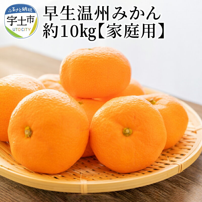 【ふるさと納税】進栄　【家庭用】早生温州みかん　約10kg【熊本県宇土市】