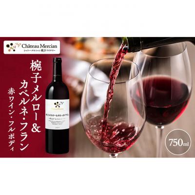 ふるさと納税 上田市 ワイン 飲み比べセット 750ml 2本セット 赤ワイン 白ワイン 赤白セット[54041118] |  | 01