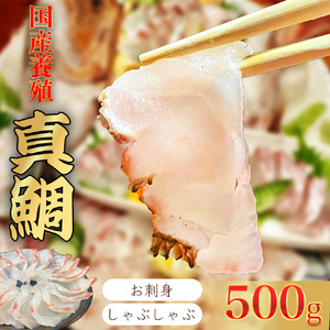 （冷凍） 【11月発送分】 国産 養殖 真鯛 500g ／ 長栄丸 ふるさと納税 鯛 タイ たい 小分けパック 短冊 刺身 しゃぶしゃぶ 三重県 大紀町