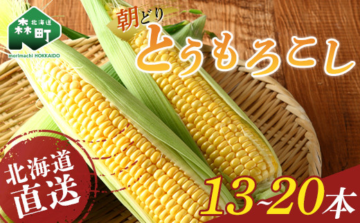 
【選べる容量】【先行予約】朝どり！北海道直送とうもろこし！ 13本～20本前後 （2024年8月中旬～9月上旬頃に発送） <對馬ファーム> とうもろこし トウモロコシ とうきび トウキビ 唐黍 野菜 やさい 甘い 北海道 森町 ふるさと納税 mr1-0505
