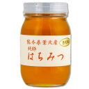 【ふるさと納税】百花蜂蜜（600g）
