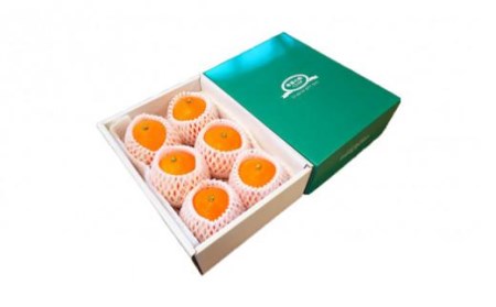 希望の島 せとか 特選品 大玉 約1.5kg（6玉） 愛媛 中島産( みかん フルーツ 果物 みかん オレンジ 柑橘 愛媛県松山市 愛媛県 松山市 愛媛 松山 みかん フルーツ みかん 果物 みかん 