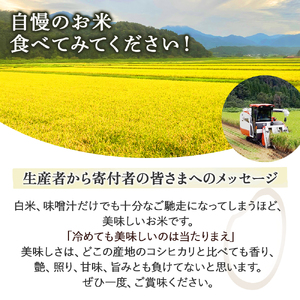 コシヒカリ 玄米 10kg 令和7年産 新米