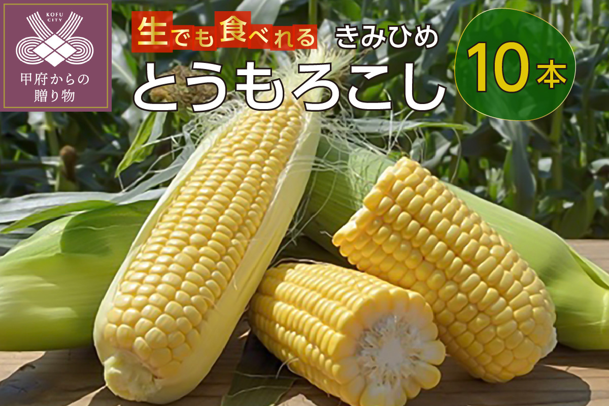 
            【2025年発送】きみひめとうもろこし10本（山梨県甲府市限定生産）
          