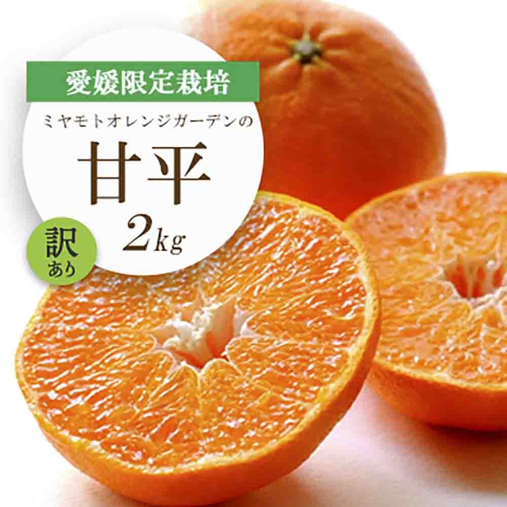 
                  愛媛限定栽培柑橘 甘平(かんぺい)2kg＜訳あり＞＜D25-184＞【1608049】 YWTAP125
                