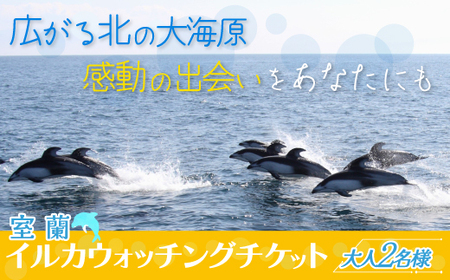 室蘭 イルカウォッチングチケット 大人2名様 【 ふるさと納税 人気 おすすめ ランキング 北海道 室蘭 大人 2名 イルカ ウォッチング クジラ チケット 観光 プライベート イベント 休日 北海道 室蘭市 送料無料 】 MROX004