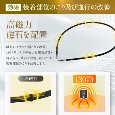 ふるさと納税 京都市 【ファイテン】RAKUWA磁気チタンネックレスS-||ブラック/シルバー<45cm> |  | 01