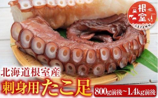 A-76028 【北海道根室産】たこ足800g前後～1.4kg前後×1本
