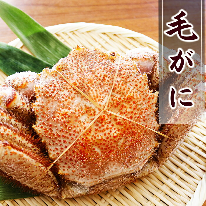 【ふるさと納税】毛がに 選べる 570g 〜 850g 毛ガニ 蟹 海鮮 北海道 根室市