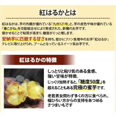 紅はるか 秀品(約5kg)(益城町)【1586865】