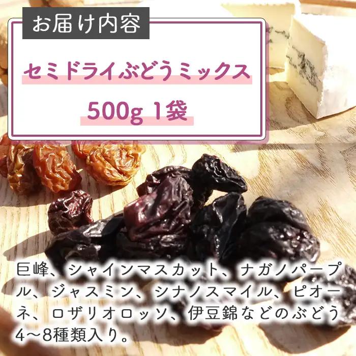 【秀果園】ぶどう農家のセミドライぶどうミックス500g ×1袋｜巨峰、シャインマスカット、ナガノパープルなど レーズン ドライフルーツ 無添加 砂糖不使用