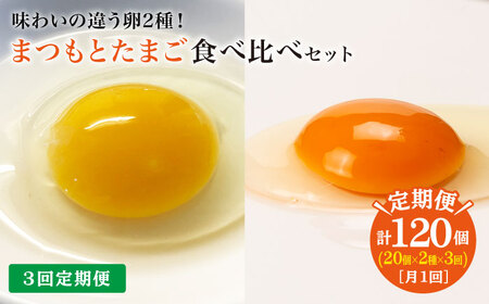 【月1回40個×3回 定期便 】 まつもとたまご ＆ 平飼いたまご 計120個＜松本養鶏場＞ [CCD022]