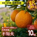 【ふるさと納税】【先行予約】訳あり 不知火 計10kg｜柑橘 みかん ミカン フルーツ 果物 でこぽん デコポンと同品種 愛媛 ※2025年2月上旬頃より順次発送予定 ※離島への配送不可