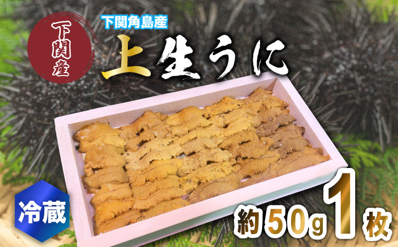 
生うに 上品 1枚 約50g 紫うに 赤うに 冷蔵 下関 唐戸市場 直送
