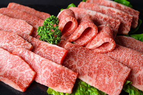 【A4～A5】博多和牛 焼肉用 500g 吉富町/株式会社MEAT PLUS [BGAB064]