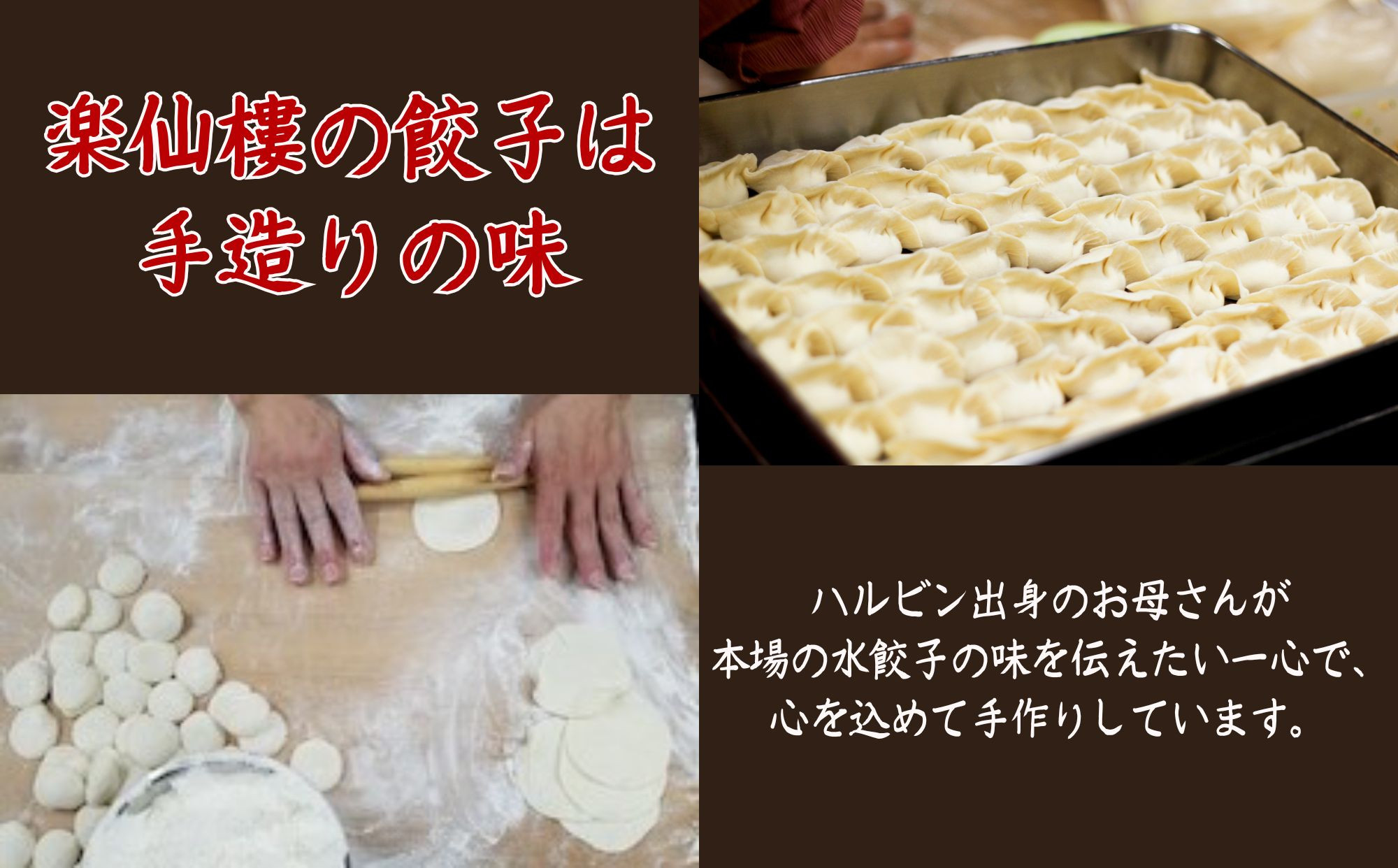 【楽仙樓】水餃子(10個入り)&セロリ入り水餃子(8個入り) 各2袋セット [ 京都 本格中華 中華料理 人気店 手作り 名物 人気 おすすめ 点心 お惣菜 ニンニク不使用 美味しい グルメ ギフト 