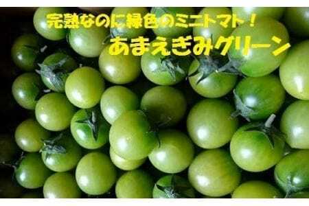 ≪今が旬！≫フルーツトマト あまえぎみ 約1kg ≪グリーン≫トマト