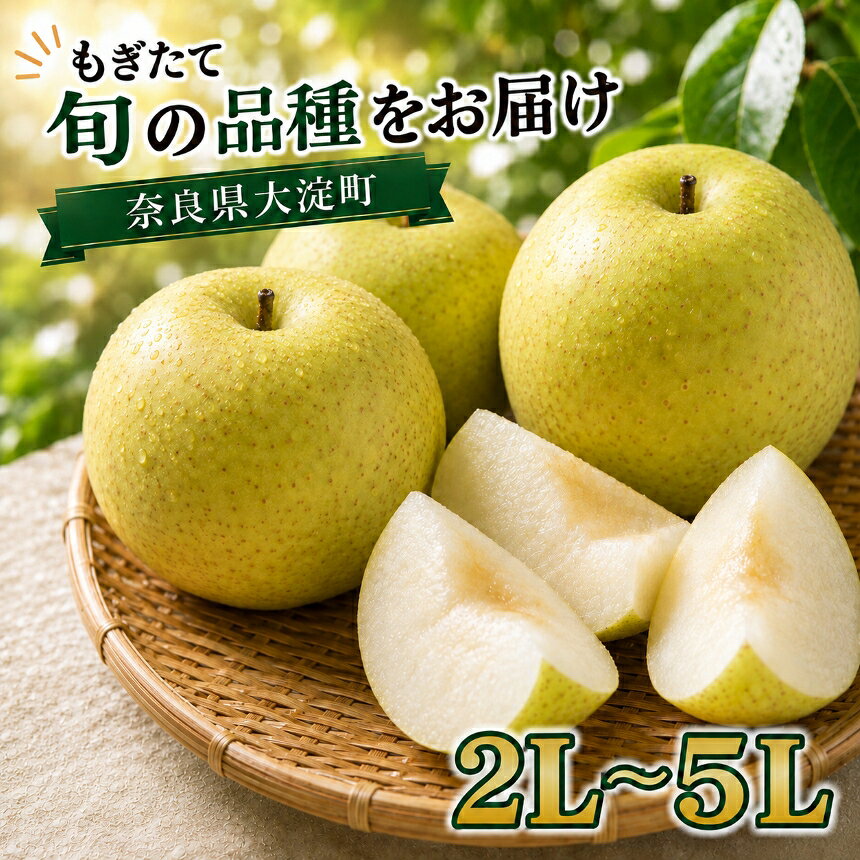【ふるさと納税】【先行予約】＼旬のもぎたて梨をお届け 南陽園の梨／　幸水梨 or 愛甘水 or 二十世紀梨 or 梨の味比べセット おみやげ桜箱（約3kg）2L～5L 【秀品】 | ≪数量限定≫ 梨園直送！ 果物 くだもの フルーツ 農家直送 奈良県 大淀町