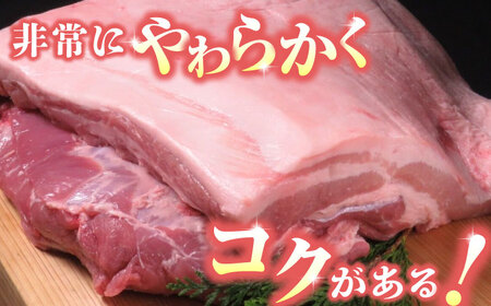 【12回定期便】豚帝 豚バラ ブロック (半頭分)約4.5kg【KRAZY MEAT(小田畜産)】[ZCP137]