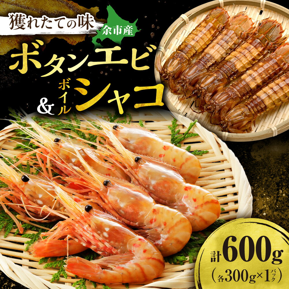 【ふるさと納税】獲れたての味！北海道余市産 ボタンエビ 300g＋ボイルシャコ300g セット 地元漁港直送 急速超低温冷凍 刺身用 海鮮丼 生食可 国産 天然 食べ比べ 海の幸 詰め合わせ 北海道 余市町 送料無料