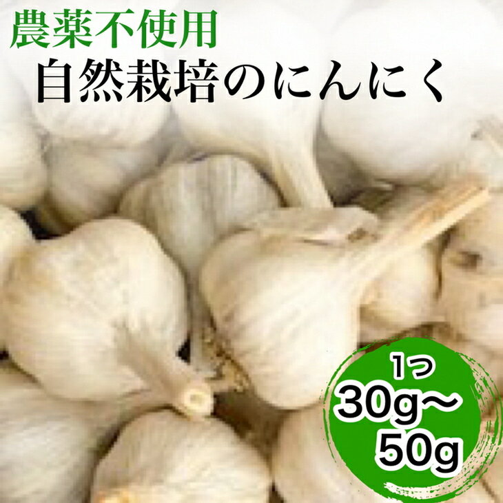 【ふるさと納税】【2025年産 予約】にんにく 1kg・5kg・10kg 京都府・亀岡産 自然栽培のかたもとオーガニックファームよりお届け ※離島への発送不可 ※2025年6月下旬～9月下旬頃に順次発送予定 ☆月間MVPふるさと納税賞 第1号（2020年10月）・SDGs未来都市亀岡