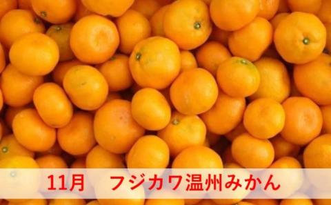 定期便 5回 みかん フジカワ果樹園オリジナル・新季節の柑橘セット