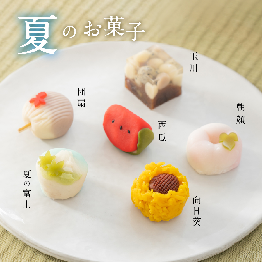 四季の彩 上生菓子(12個セット) 6回 定期便 【富士夢和菓子】