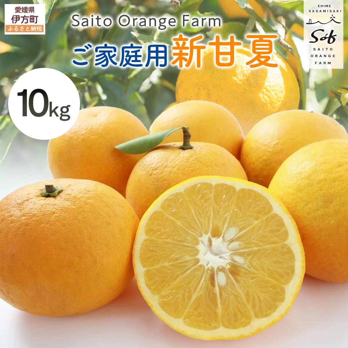【先行予約】Saito Orange Farm ご家庭用 新甘夏10kg （2027年3月下旬頃より順次発送予定））IKTAQ030