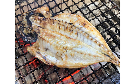 冷凍 焼いてあるひもの 干物 5種 セット / ひもの