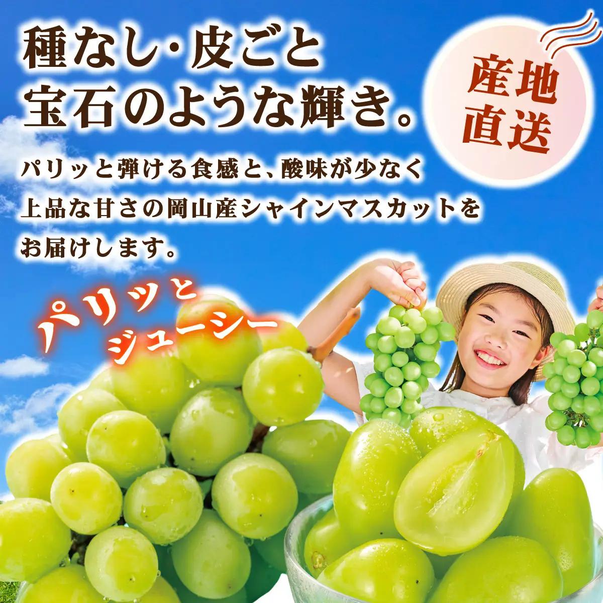 【訳あり】2026年9月発送 岡山県産 シャインマスカット 1.4kg