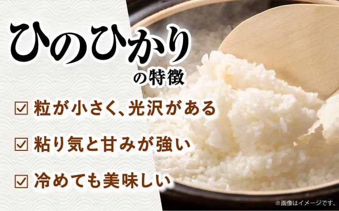 米 お米 コメ 白米 精米 国産 長崎 JA
