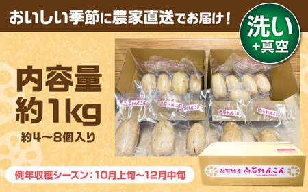 【2025年10月以降発送】金賞れんこん 真空パック 約1kg  / れんこん 蓮根 レンコン れんこん れんこん れんこん[IBD016]