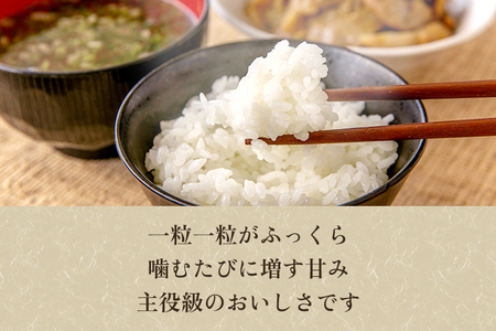 【令和8年産新米先行予約】【定期便6ヶ月毎月お届け】新潟県加茂市産コシヒカリ 精米25kg（5kg×5）《10月上旬～順次出荷》 白米 （株）ライスグローワーズ