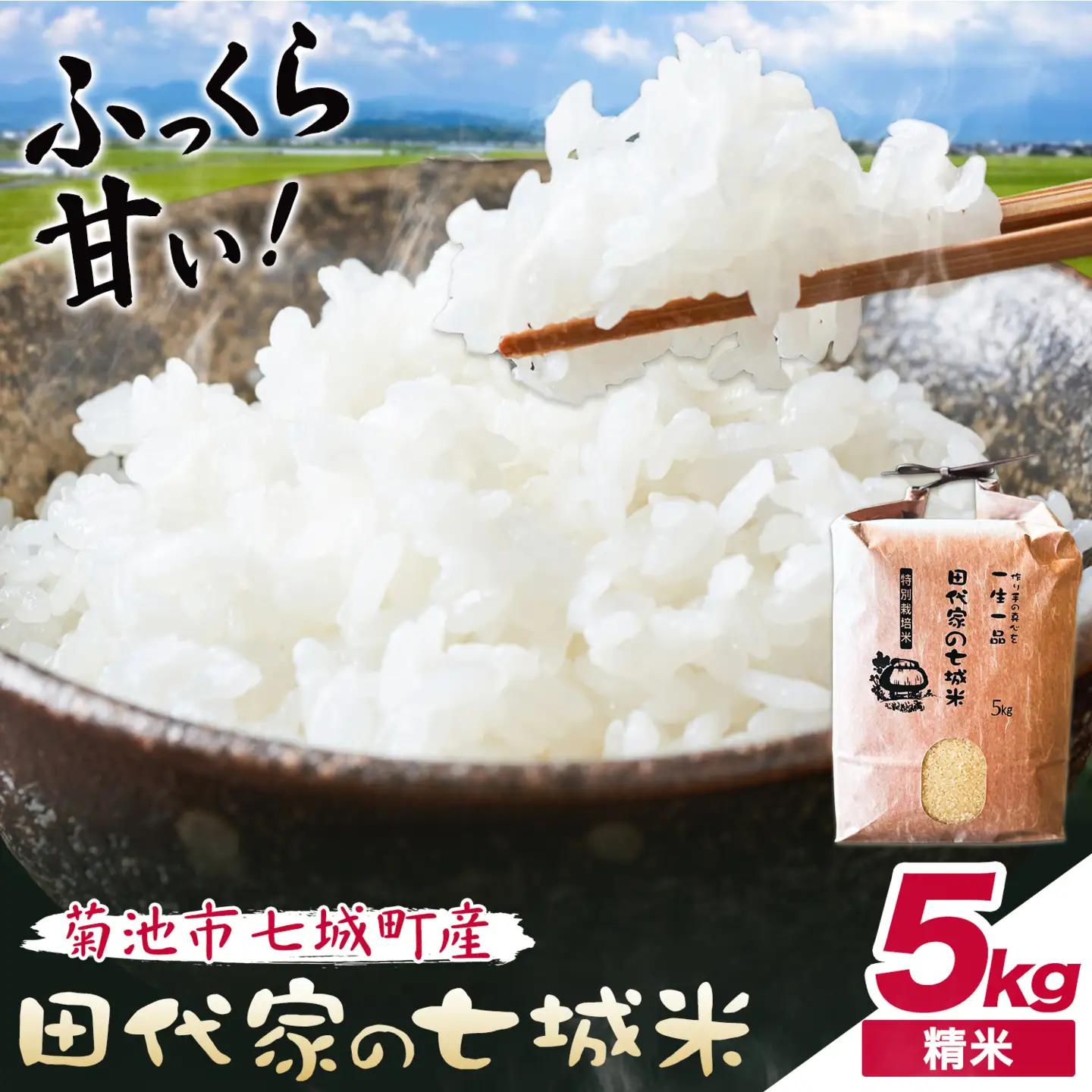令和7年産 菊池市七城町産 田代家の七城米 七城ヒノヒカリ精米 5kg 田代こめや《30日以内に出荷予定(土日祝除く)》熊本県 菊池市 米 お米 精米 ひのひかり 菊池市産 熊本県産 九州産 送料無料