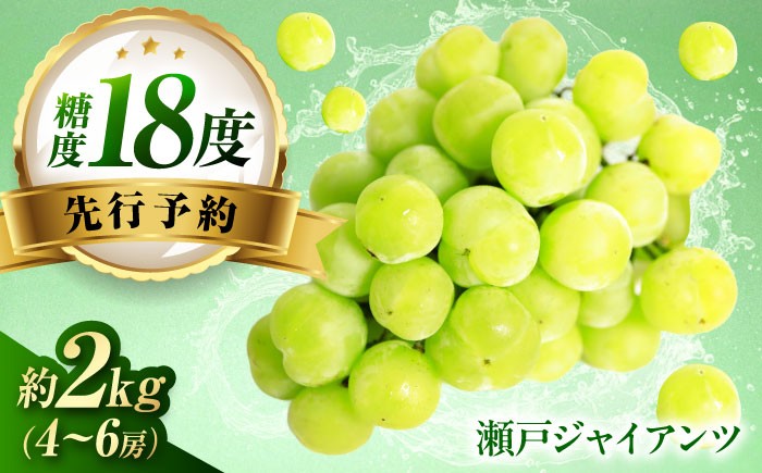 
                  ぶどう 【先行予約】瀬戸ジャイアンツ 約2kg1箱（4房～6房）/ 瀬戸ジャイアンツ ぶどう ブドウ 葡萄 マスカット ますかっと 愛媛 フルーツ 果物 美味しい 皮ごと 特産品 国産 瀬戸ジャイアンツ せとじゃいあんつ 種なし 皮ごと 甘い 大粒 旬 産地直送 愛媛 国産 ギフト 人気 おすすめ 送料無料 四国 愛媛県 内子町 ふるさと納税 【有限会社ふじブドウ園】 [BKCW001]
                