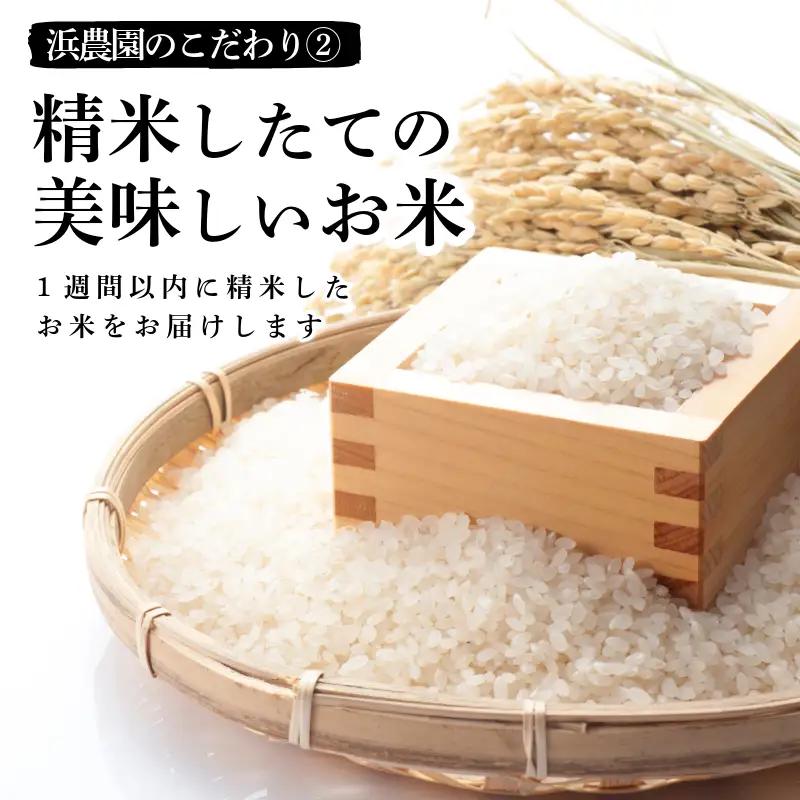 【2026年9月順次発送】新米 特別栽培米 にじのきらめき 白米 5kg 小松島市 お米 こめ kome 精米 ご飯 ごはん 減農薬 米  小分け
