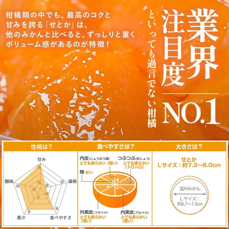 【先行予約】せとか（1kg）