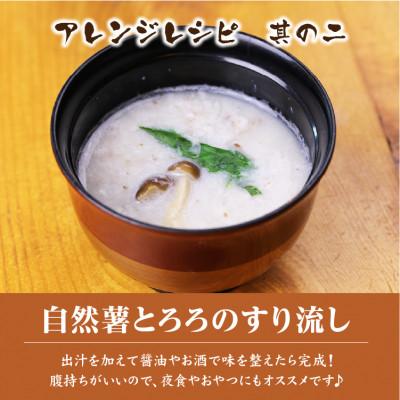 ふるさと納税 小田原市 自然薯生とろろ 5パックセット(100g×5p)　味付無・小分け・冷凍 |  | 03