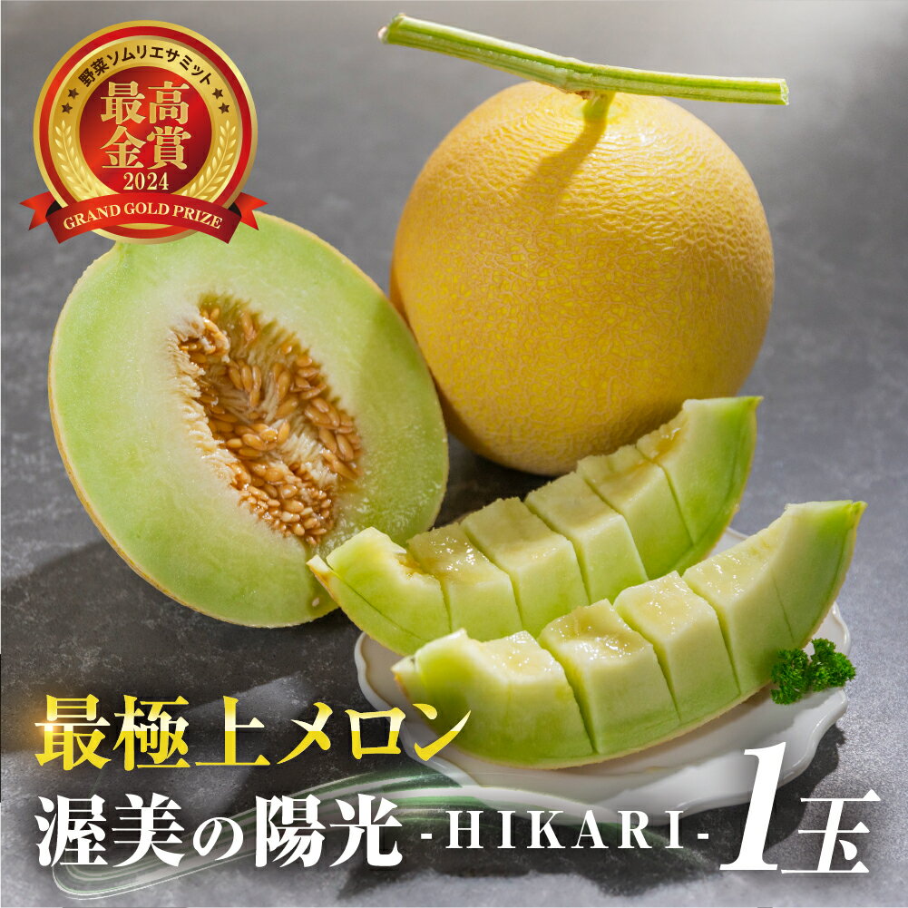 【ふるさと納税】 先行予約 極上メロン 渥美の陽光-HIKARI- メロン 1玉 数量限定 渥美半島 田原市 お取り寄せ 産地直送 送料無料