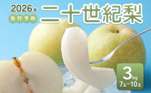 【2026年 先行予約】二十世紀梨 3kg｜鳥取 東光園 梨 2026年収穫後 2026年8月下旬～9月頃順次発送※着日指定不可【41051】