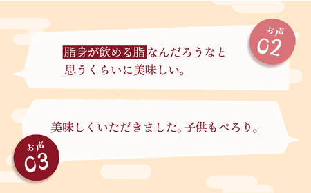 【BBQなどにピッタリ！】 西海市産 黒毛和牛 焼肉用 2種盛り約800g（約200g×4パック） ＜ミクリヤ畜産＞ [CFD022]  長崎 西海 黒毛和牛 和牛 焼肉 BBQ 焼肉 贈答 ギフト 