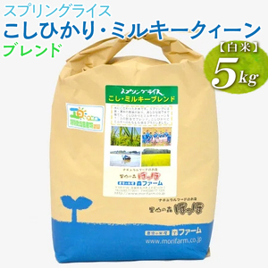 【新米】スプリングライス こしひかり・ミルキークィーン ブレンド (白米)5kg コシヒカリ ｜米 ※2026年9月～発送 _BI27