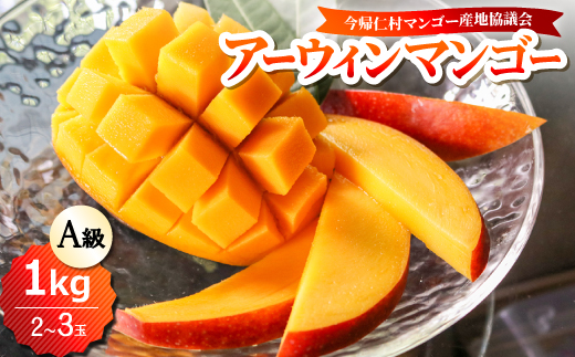 【2026年6月下旬から順次発送】今帰仁産のA級アップルマンゴー1kg(2〜3玉)【配送不可地域：離島】【4014730】