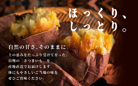 さつまいも 紅はるか 3kg ｜さつまいも【株式会社橋本】