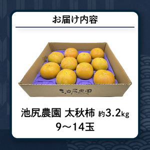 【2025年10月発送】池尻農園　太秋柿　9玉～14玉　約3.2kg_柿 甘柿 太秋柿 9玉 ～ 14玉 約 3.2kg 種が少ない 池尻農園 シャキシャキとした食感 さっぱり 多汁 高い糖度 国産 