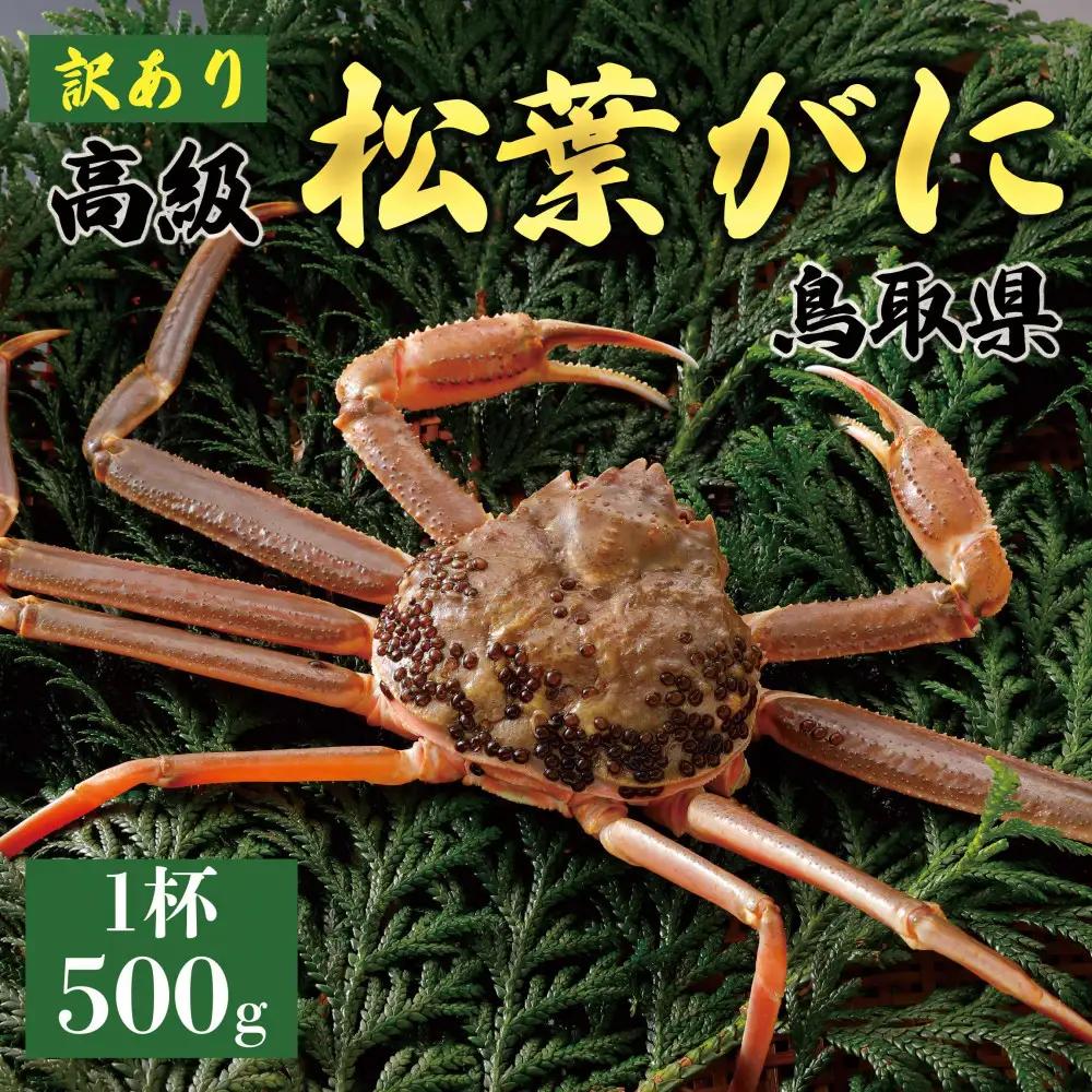 1056.【2027年1月～2027年3月発送】特撰 松葉がに （なま）【訳あり】500g超のサイズ 食べ応えあり 1杯 | カニ 松葉がに