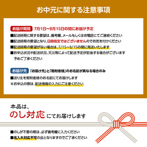 【お中元ギフト】体にやさしい くずバー 10本入り ～人気おススメ5種×2本入り～ ≪7月1日～8月15日の期間に発送≫和菓子 葛菓子 スイーツ 009-13-C